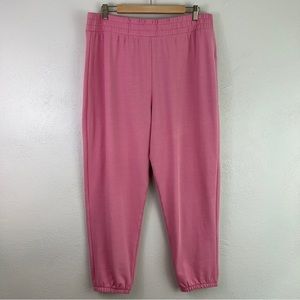 J. Crew Factory Terry Cloth Pull On Jogger Sweatpants Pink XXL